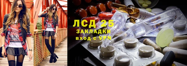 прущие крисы Алзамай