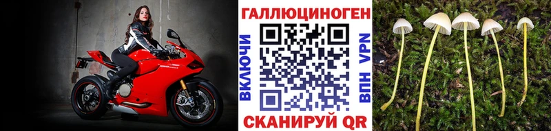 хочу наркоту  ОМГ ОМГ tor  Псилоцибиновые грибы мицелий  Урай 