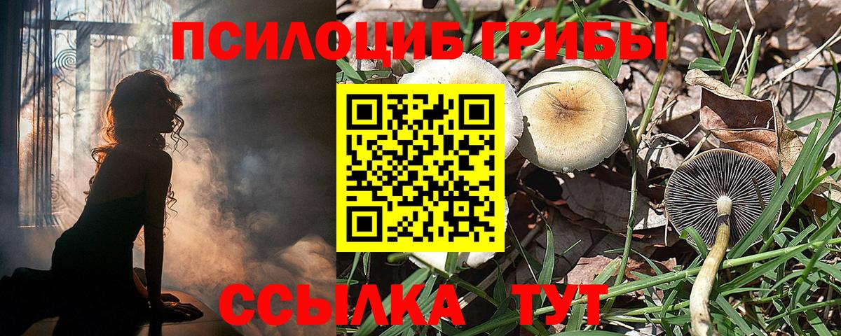Урай  Псилоцибиновые грибы прущие грибы  Галлюциногенные грибы Cubensis  Вход с VPN 