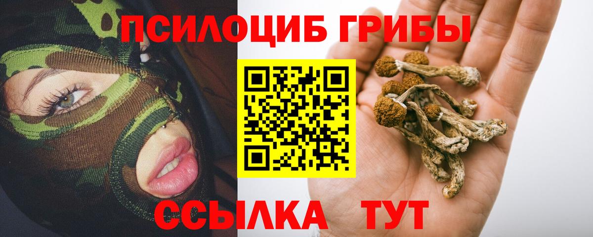 Псилоцибиновые грибы мицелий Урай